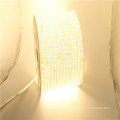 High brightness 110v 120v 230v led strip with dimmable controller 5050 smd 60leds/m strip light for Landscape lighting